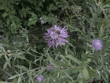 440x330  47 KB. Big one: 4160x3120  2696 KB