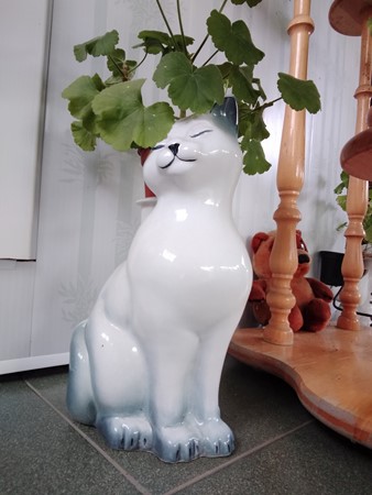 338x450  52 KB. Big one: 2448x3264  2032 KB