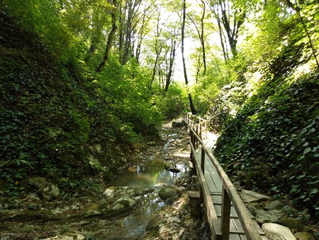 450x338  108 KB. Big one: 4160x3120  5885 KB