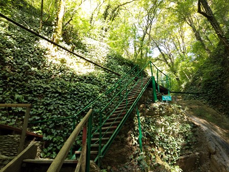 450x338  118 KB. Big one: 4160x3120  6366 KB