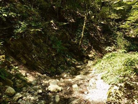 450x338  108 KB. Big one: 4160x3120  5289 KB