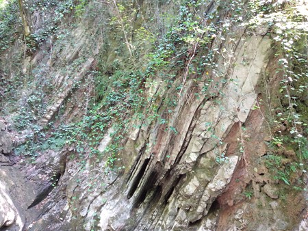 450x338  111 KB. Big one: 4160x3120  5353 KB