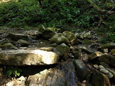 450x338  95 KB. Big one: 4160x3120  5447 KB