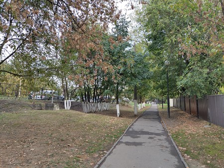 450x338  81 KB. Big one: 4032x3024  9521 KB