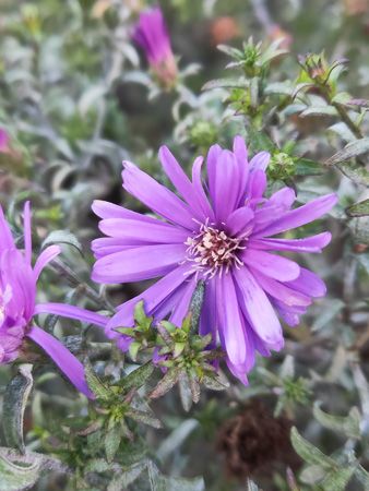 338x450  70 KB. Big one: 3456x4608  3598 KB