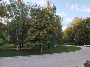 300x225  40 KB. Big one: 4608x3456  7486 KB