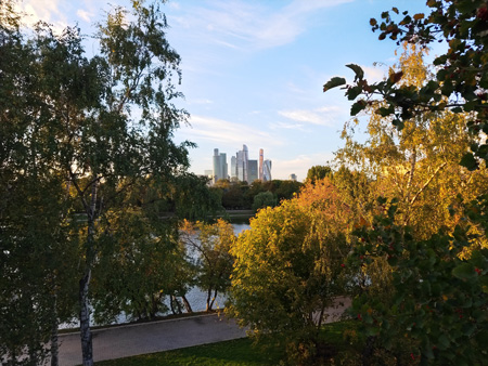 450x338  94 KB. Big one: 4608x3456  7051 KB