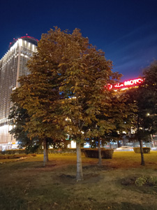 225x300  36 KB. Big one: 3456x4608  3999 KB