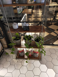 225x300  38 KB. Big one: 3456x4608  4271 KB