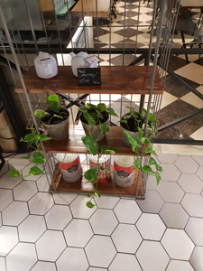 225x300  38 KB. Big one: 3024x4032  3928 KB