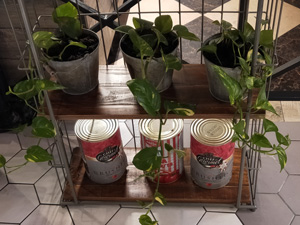 300x225  36 KB. Big one: 4608x3456  3796 KB