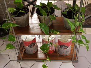 300x225  39 KB. Big one: 4032x3024  3503 KB