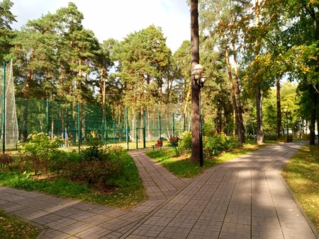 450x338  96 KB. Big one: 4672x3504  7355 KB