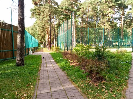 450x338  102 KB. Big one: 4672x3504  9683 KB