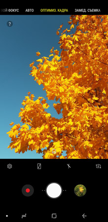 219x450  50 KB. Big one: 730x1500  446 KB