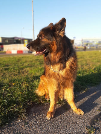 338x450  51 KB. Big one: 4248x5664  4737 KB