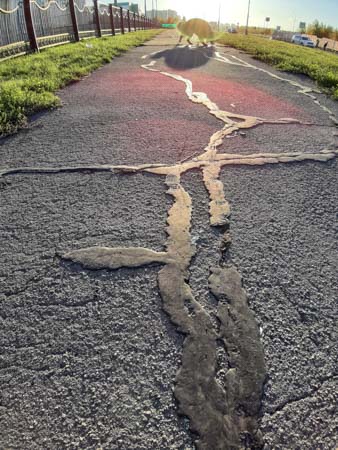 338x450  52 KB. Big one: 2448x3264  4897 KB