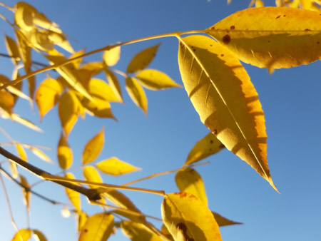 450x338  49 KB. Big one: 5664x4248  4231 KB