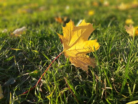 450x338  55 KB. Big one: 5664x4248  7146 KB