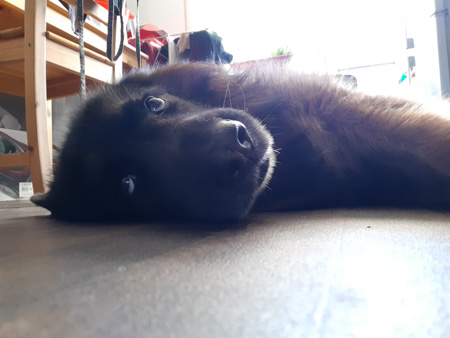 450x338  45 KB. Big one: 5664x4248  4478 KB