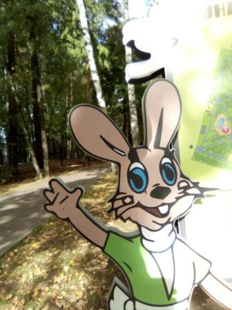 336x448  37 KB. Big one: 1920x2560  1638 KB