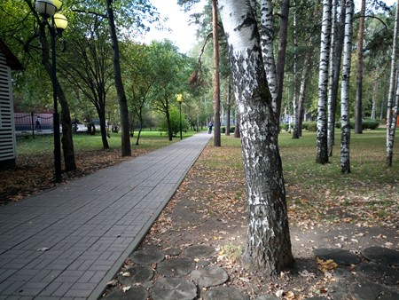 450x338  91 KB. Big one: 4160x3120  4954 KB