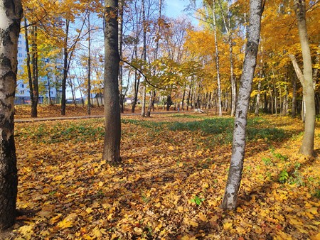 450x338  98 KB. Big one: 4032x3024  9849 KB