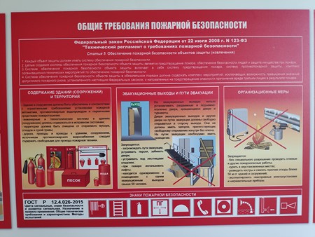 450x338  60 KB. Big one: 4032x3024  5613 KB