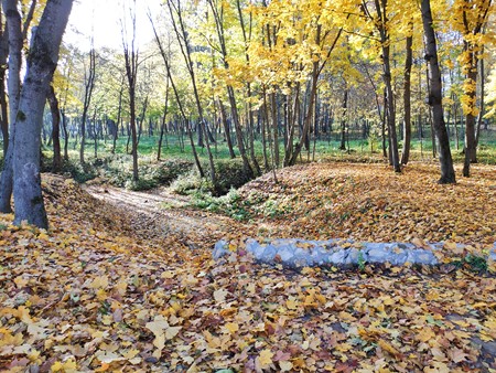 450x338  99 KB. Big one: 4032x3024  9262 KB