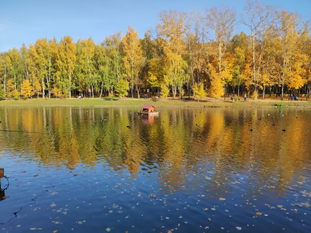 450x338  61 KB. Big one: 4032x3024  9676 KB