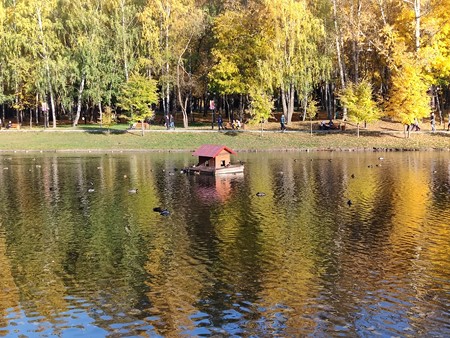 450x338  84 KB. Big one: 4032x3024  10155 KB