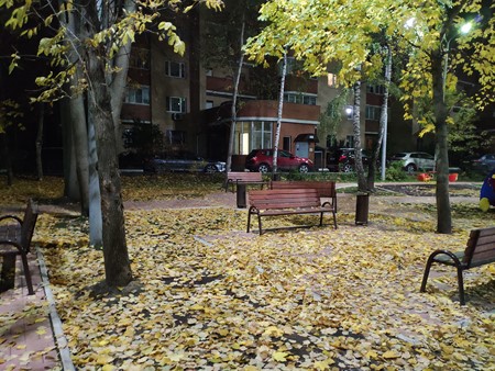 450x338  81 KB. Big one: 4032x3024  8024 KB