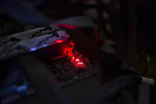 500x334  17 KB. Big one: 2500x1668  285 KB