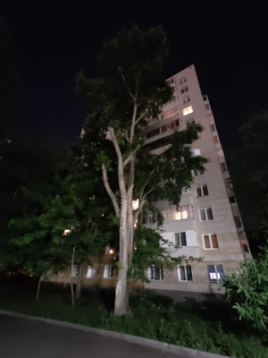 300x400  33 KB. Big one: 2448x3264  943 KB