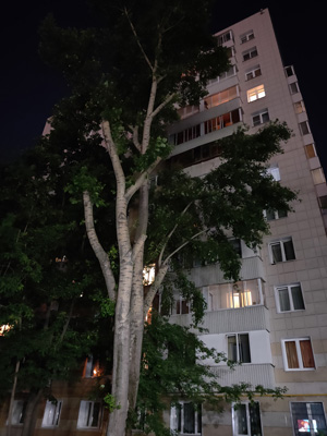 300x400  49 KB. Big one: 3000x4000  3162 KB