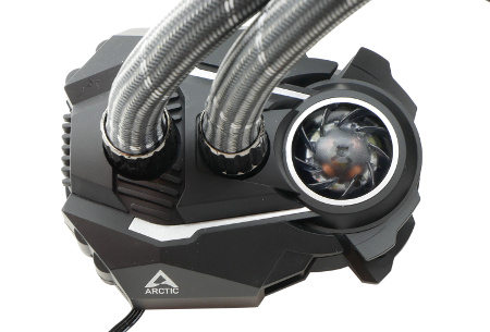 450x305  44 KB. Big one: 1500x1016  317 KB