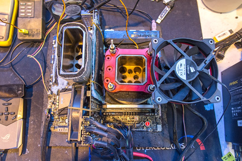 500x333  99 KB. Big one: 1200x800  471 KB