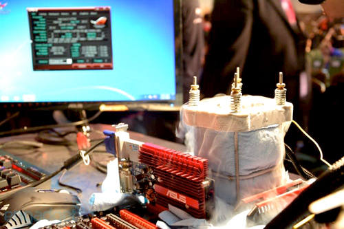 500x333  111 KB. Big one: 800x533  281 KB