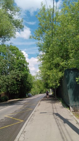 253x450 43 KB. Big one: 3672x6528 12369 KB