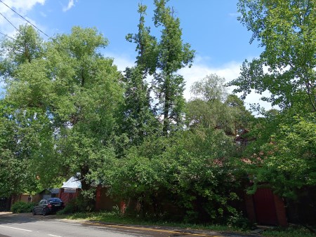 450x338 68 KB. Big one: 4000x3000 8865 KB