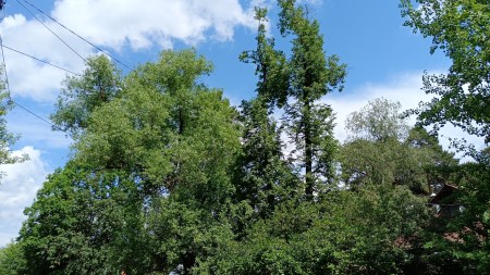 450x253 54 KB. Big one: 4000x2250 5751 KB