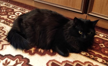 450x274  36 KB. Big one: 1500x912  278 KB