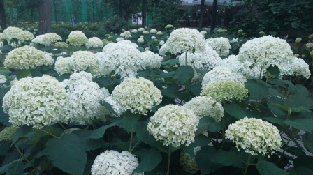 448x251 58 KB. Big one: 1563x879 422 KB