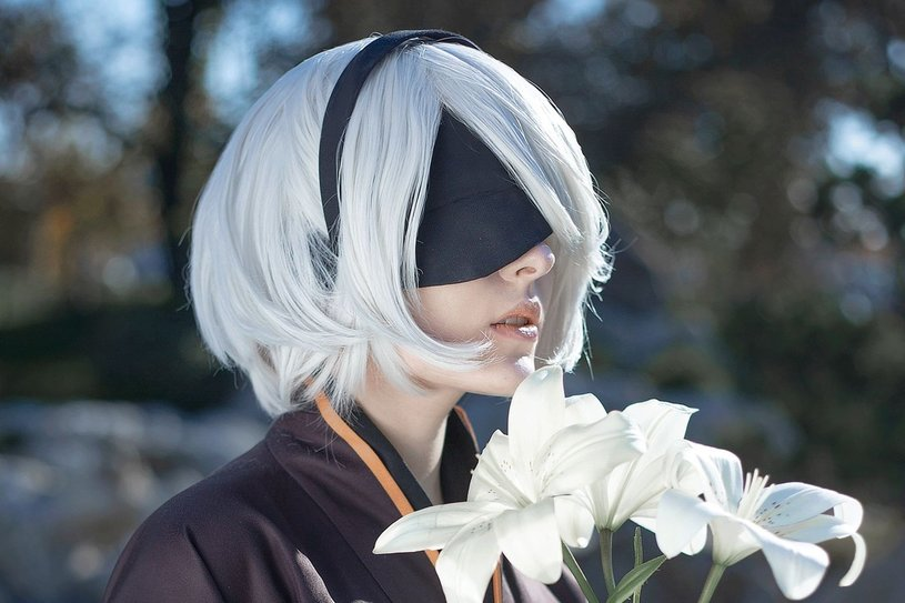 ÐÑÐµÐºÑÐ°ÑÐ½ÑÐ¹ ÐºÐ¾ÑÐ¿Ð»ÐµÐ¹ 2B Ð¸Ð· NieR: Automata